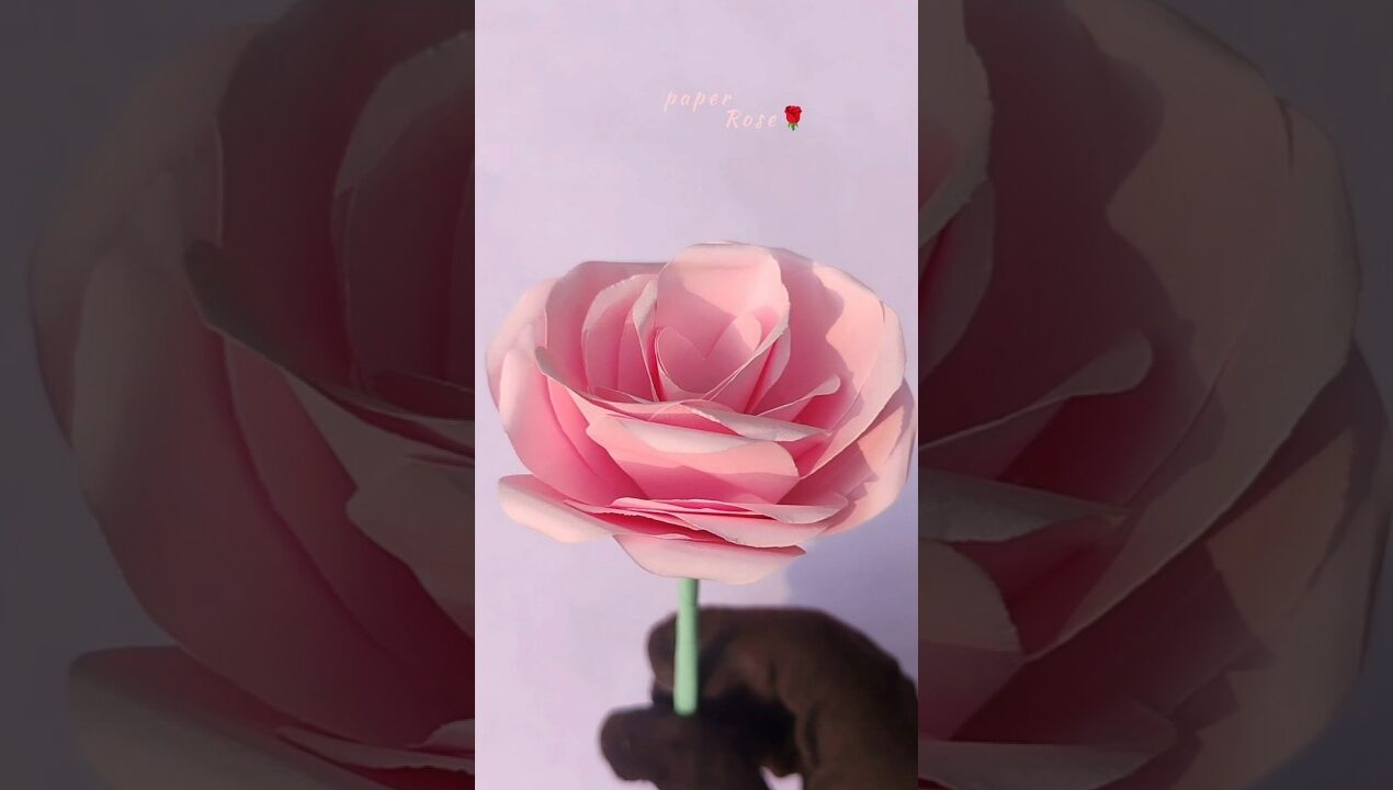 DIY Pink Rose Flower 🌸 | Easy Paper Craft for Beginners ✨