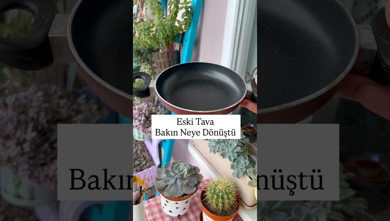 Eski Tava Bakın Neye Dönüştü #geridönüşüm #kendinyap #diy