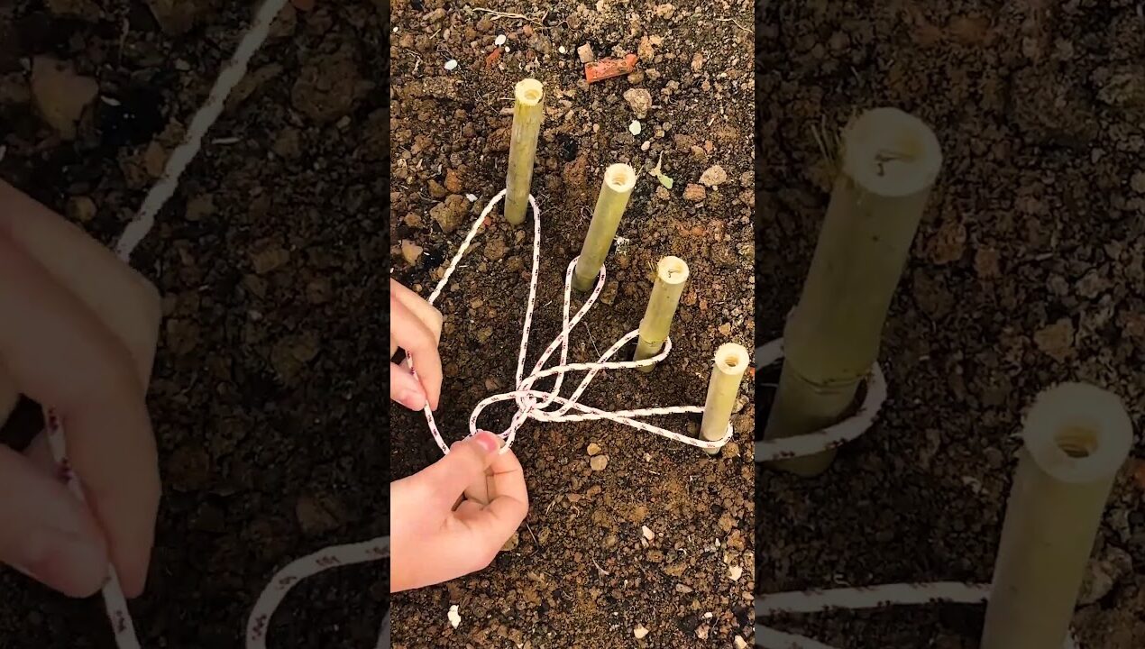 Knot hack for multiple stakes #diy #knot #trick