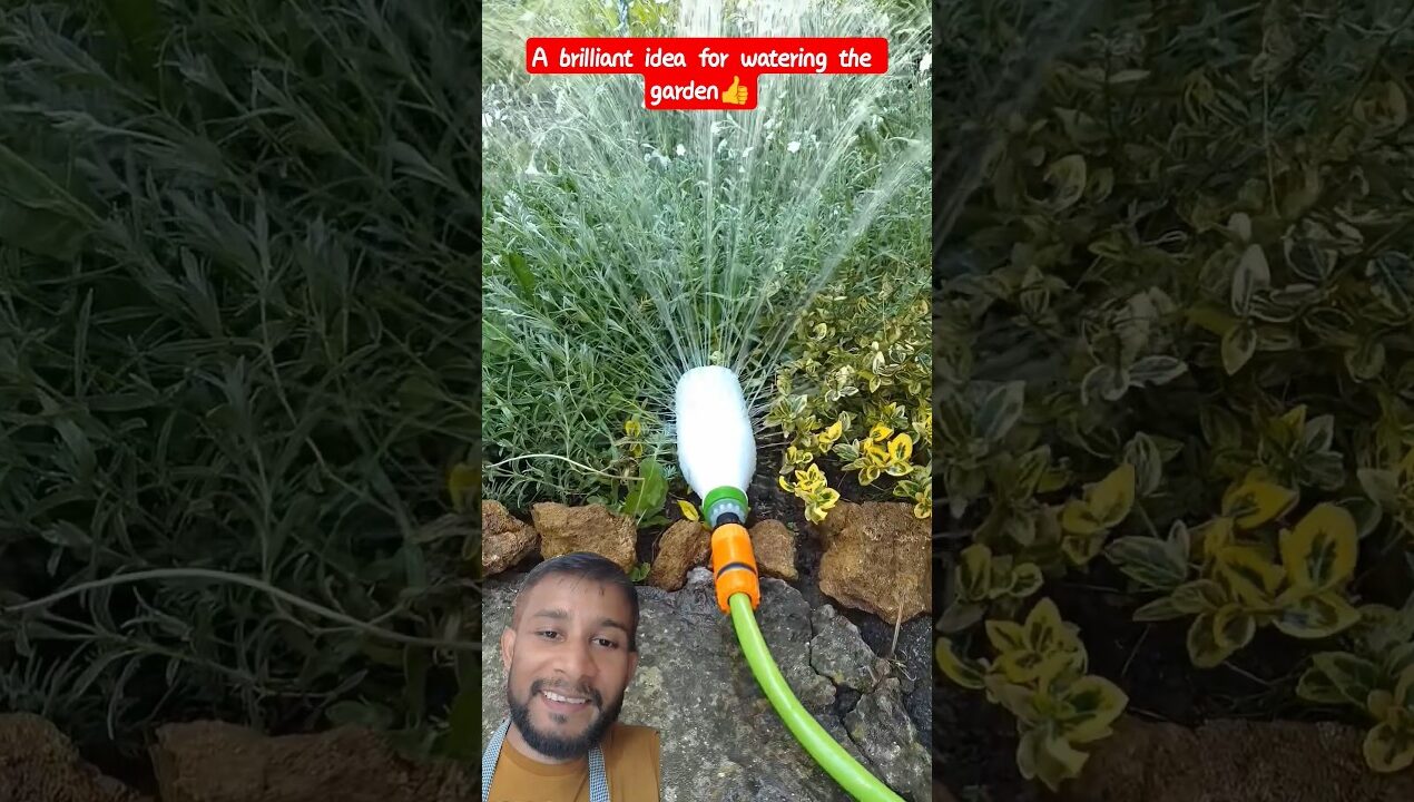 A brilliant idea for watering the garden👍#diy #gardening #hacks #trick #trending #shorts #viralvideo