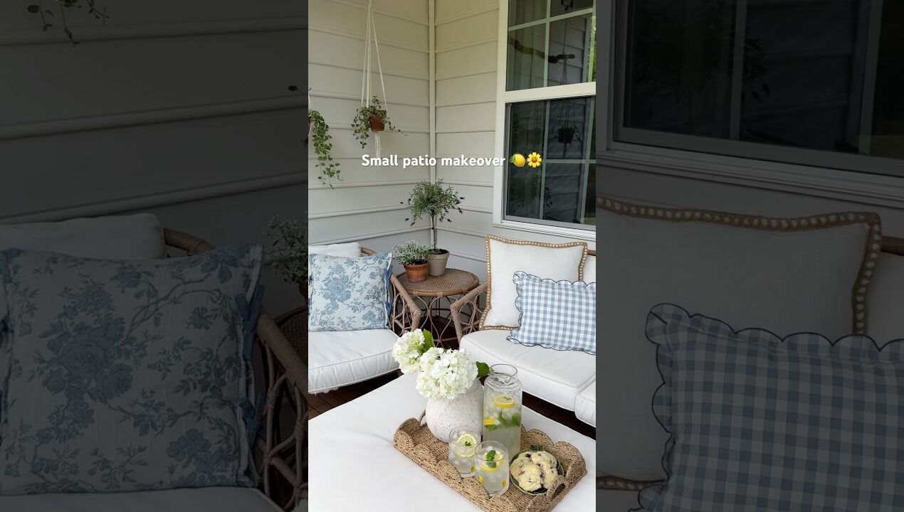 Transforming our small patio into an outdoor retreat (DIY & budget-friendly) 🍋🐝🌼 #curbsideappeal