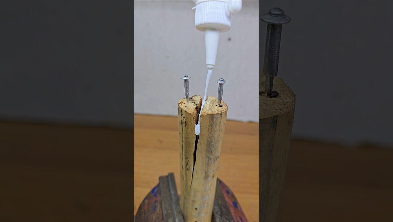 A Genius Idea with Amazing Results#diy #Crafts #ideas #howto #saadcrafts