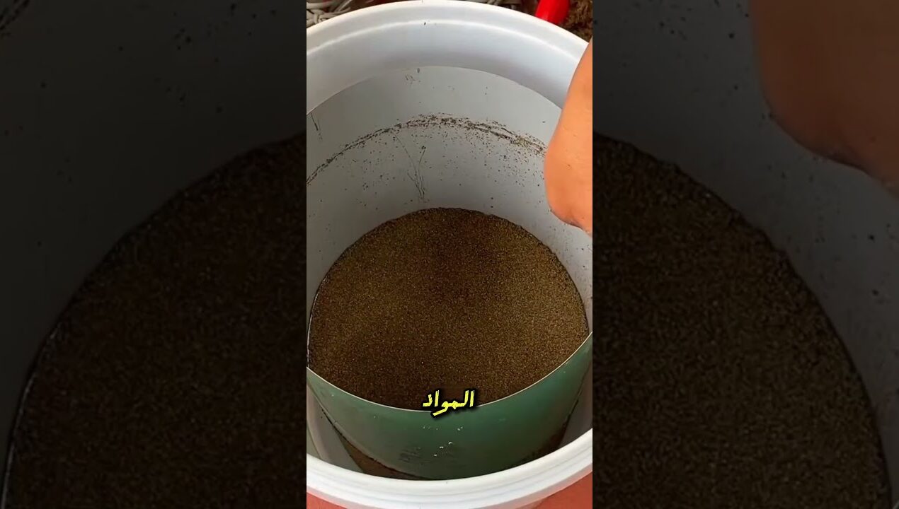 مشروع DIY بسيط تحول لتحفة منزلية#ديكور#اصيص_نباتات#DIY#shorts #viral