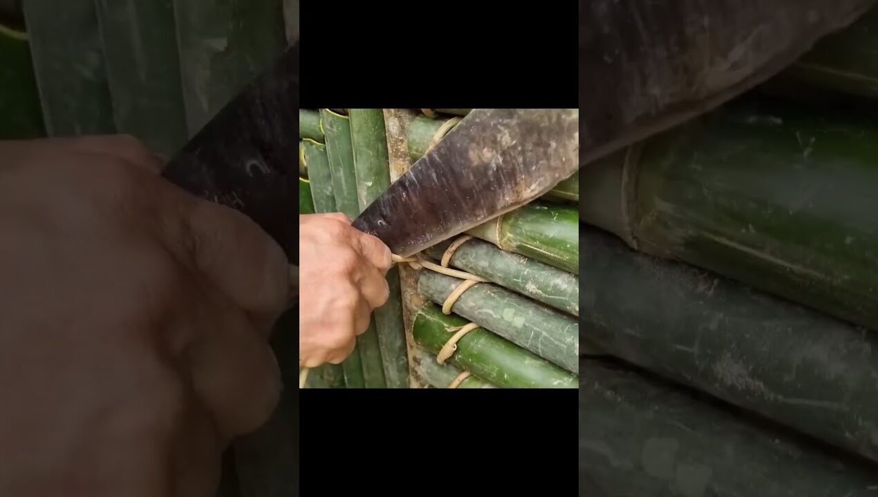This craftsmanship is truly superb. #survival #howtomakediya #diya #diy #diybuild #bushcraft  #wood