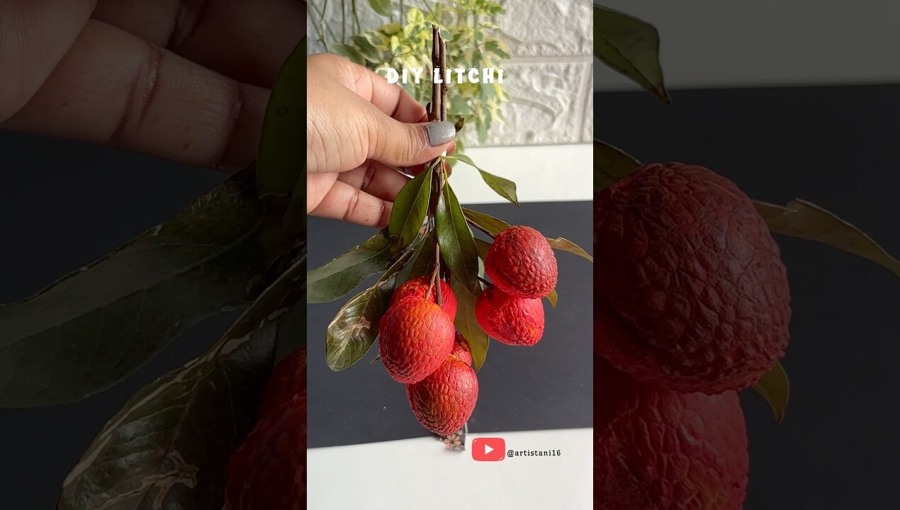 DIY Litchi craft ideas #shorts #diy #youtubeshorts #craftideas #shortsviral #viralvideo #art