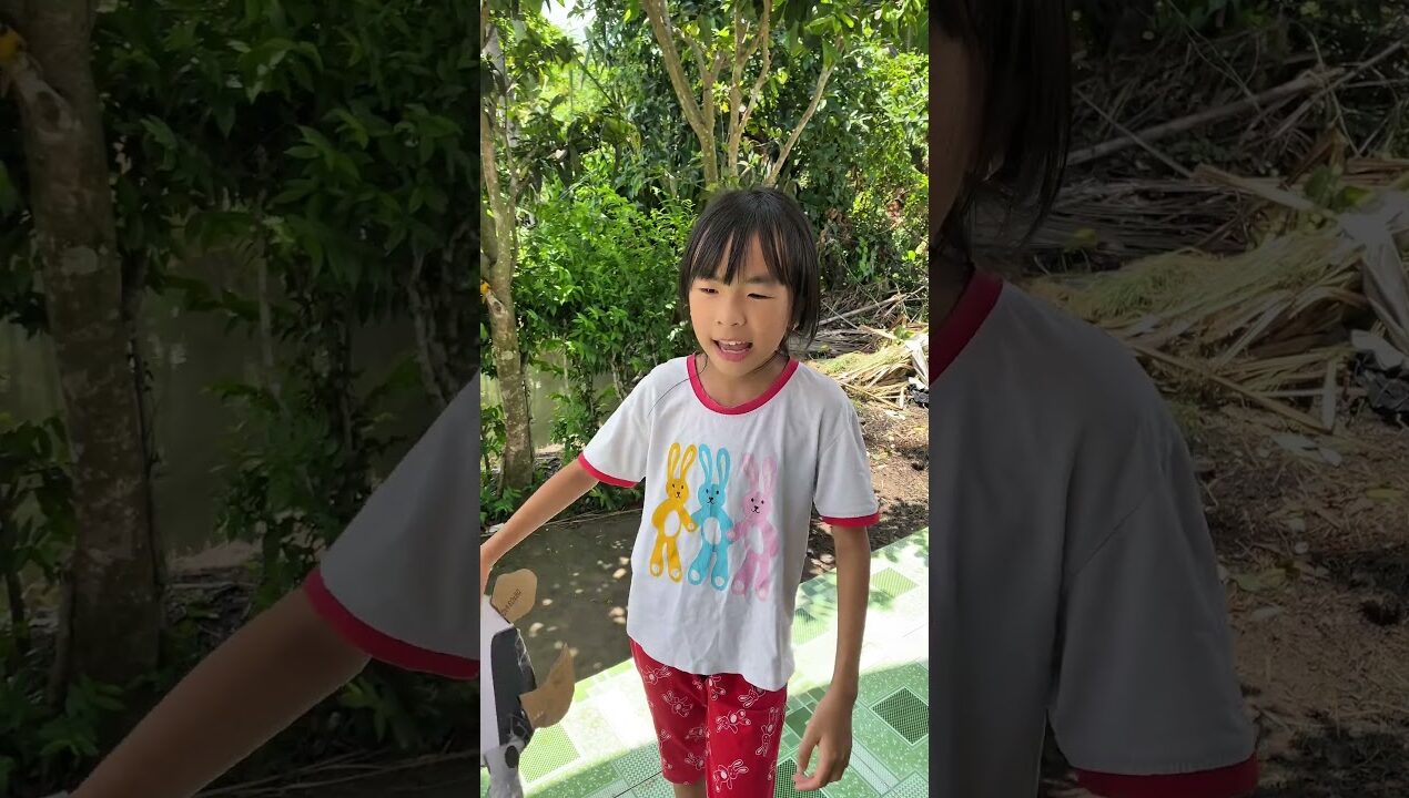 XÉM NỮA MẤT CON RÙA #diy #shorts #daudaune