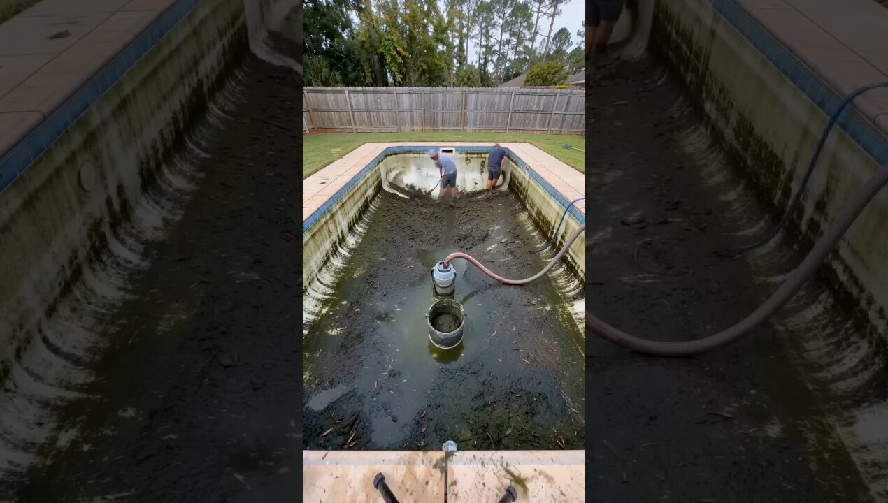 Restoring the most disgusting pool you've seen #timelapse #backyard #diy