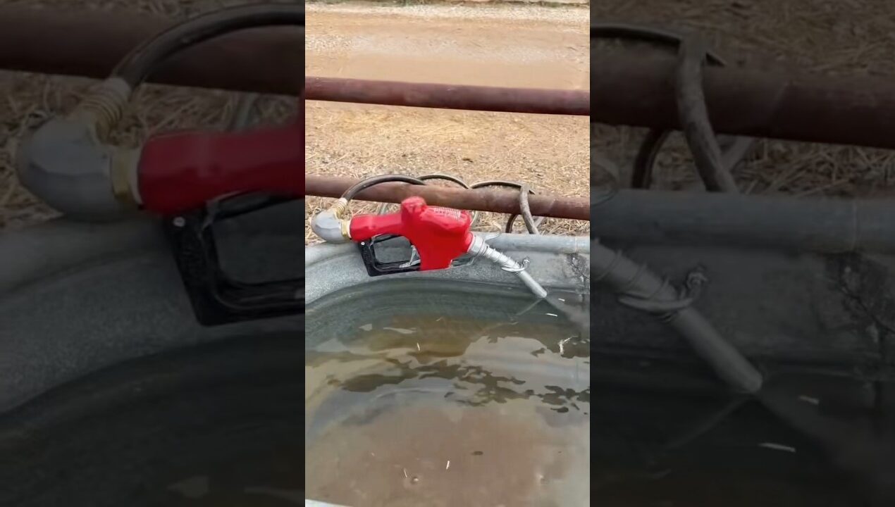 Do Horses Drink Gasoline? #goodtoknow #lifehacks #vet #medicine #educational #diy #farmhacks #learn