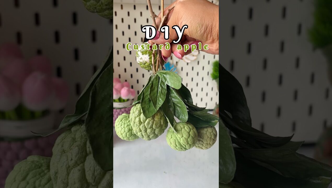 DIY Custard  apple #shorts #viral  #viralshort #reuse #diy #handmade  #crafting #trending