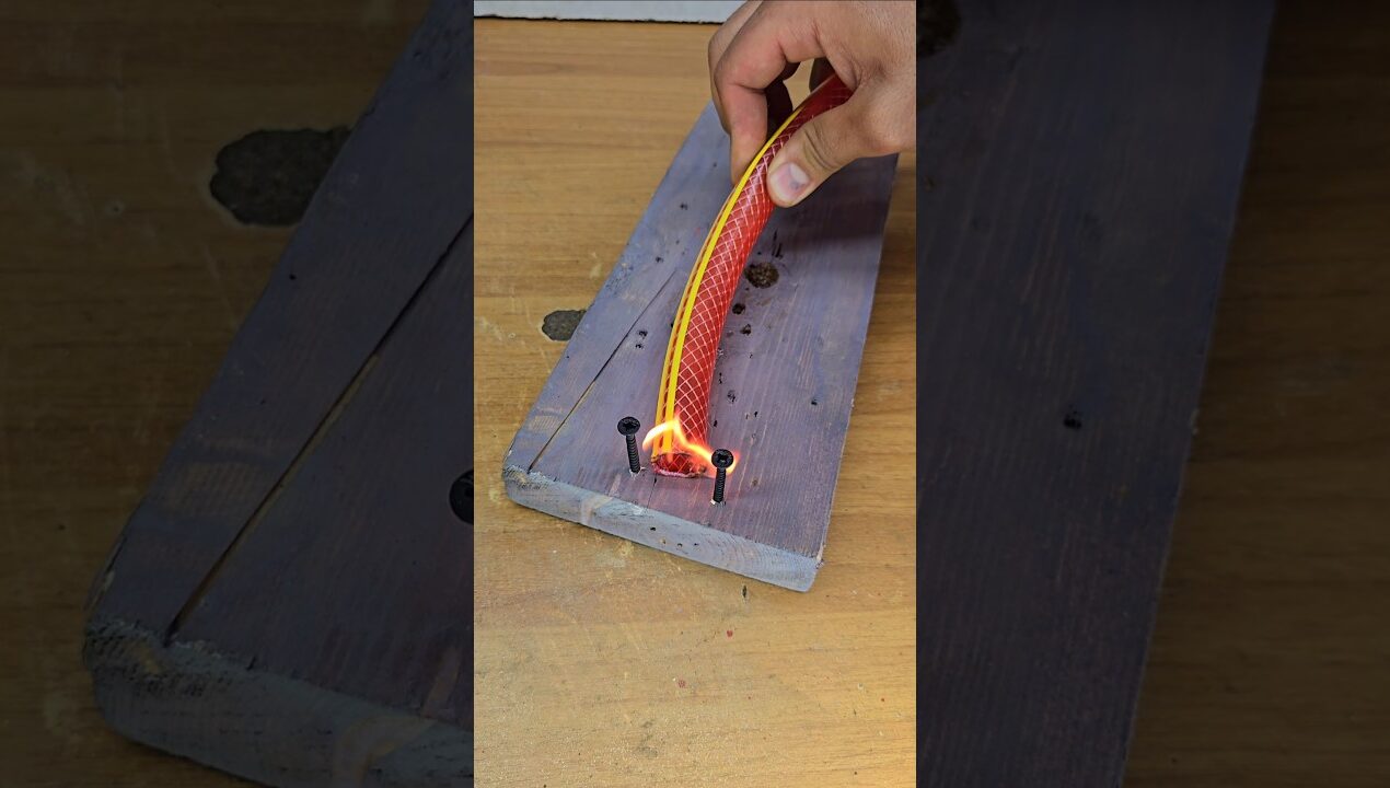A Smart Trick That Saves You Money#diy #Crafts #ideas #howto #saadcrafts