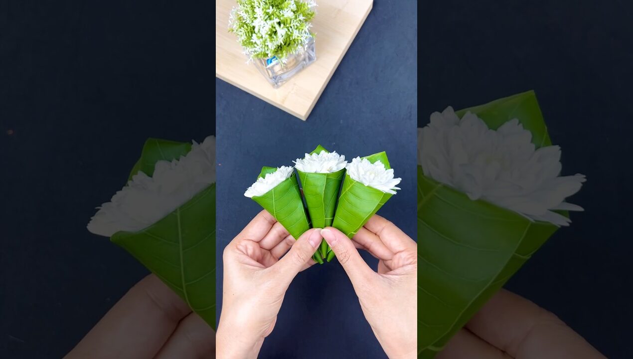 #mangoleaf #diy