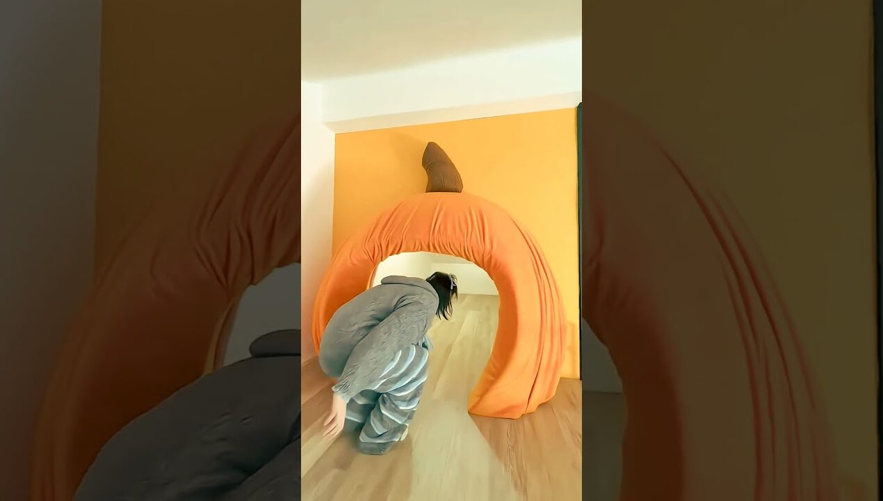 Secret Bedroom Reveal . Would You Build One?#diy #shortvideo #viral
