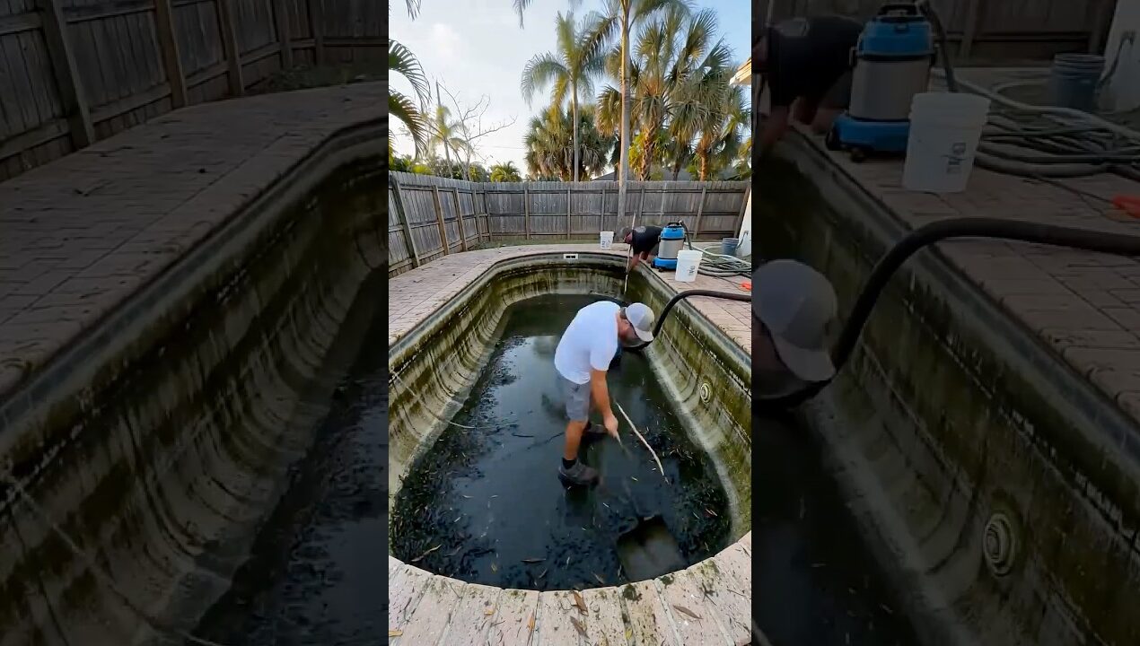 This pool was a swamp, watch the rebuild.  #timelapse #diy