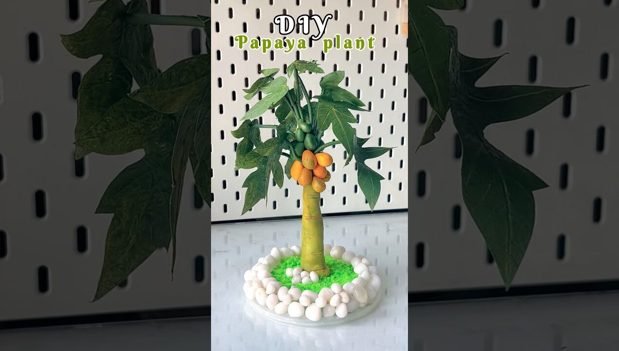 DIY papaya plant  #shorts #viral  #viralshort #reuse #diy #handmade  #crafting #trending