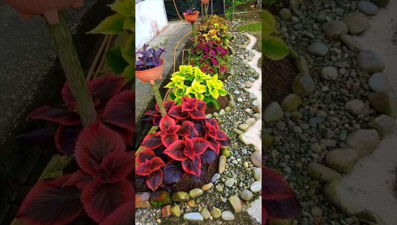 Part 2-Landscaping ideas  🤩 #garden #landscape #ytshorts