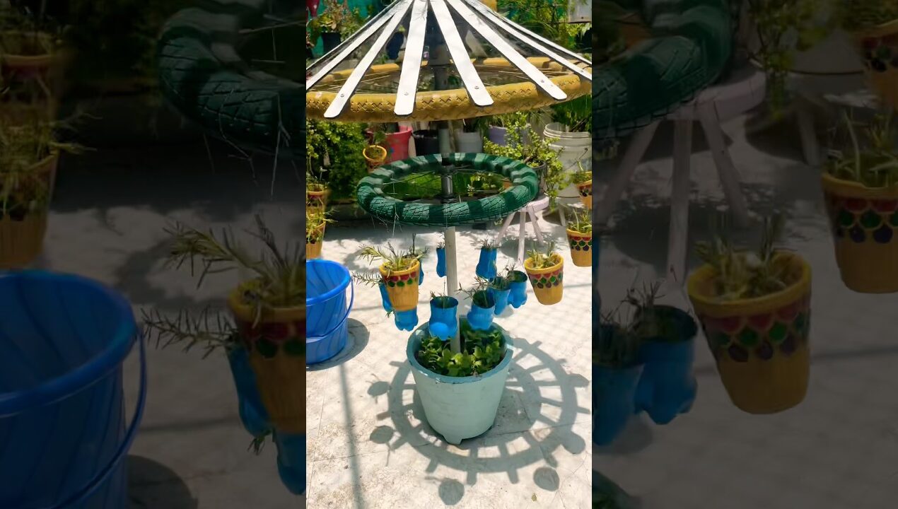 #diycrafts #terracegardenindia #diyideas #youtubeshorts
