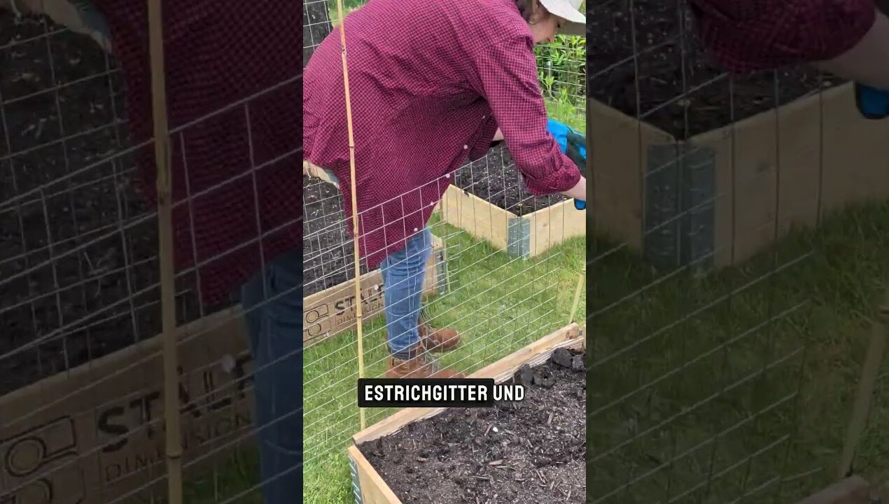 3 DIY Rankhilfen – günstig, schnell, einfach #Garten #diy #gartentipps #gemüseanbau #pflanzentipps