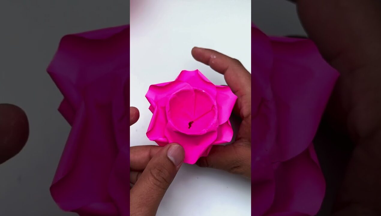Cute Paper Rose Tutorial for Beginners 🌹#shorts #papercraft #shortsfeed #diy #ytshorts #paperflower