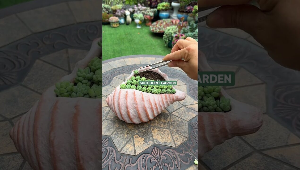 Creative Succulent DIY Ideas You Need to Try! 🌵✨