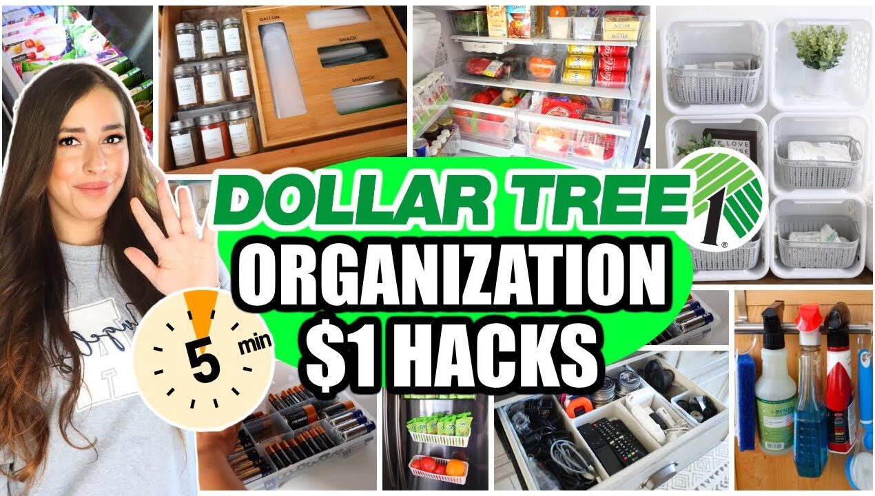 Dollar Tree Organization Hacks (Organize in 5 minutes with these PRACTICAL IDEAS!)