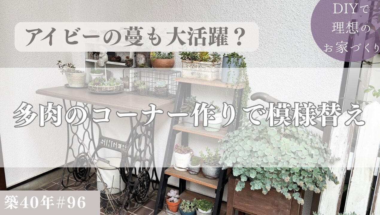 【築40年DIY #96】庭編 | アイビーの蔓を使った多肉の器 | 玄関周りを多肉コーナーへ模様替え