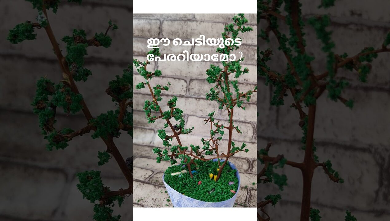 ഇതാണ് പറയുന്നത് ഒന്നും പാഴല്ല എന്ന് …😍 #shortsvideo#diy#creativity