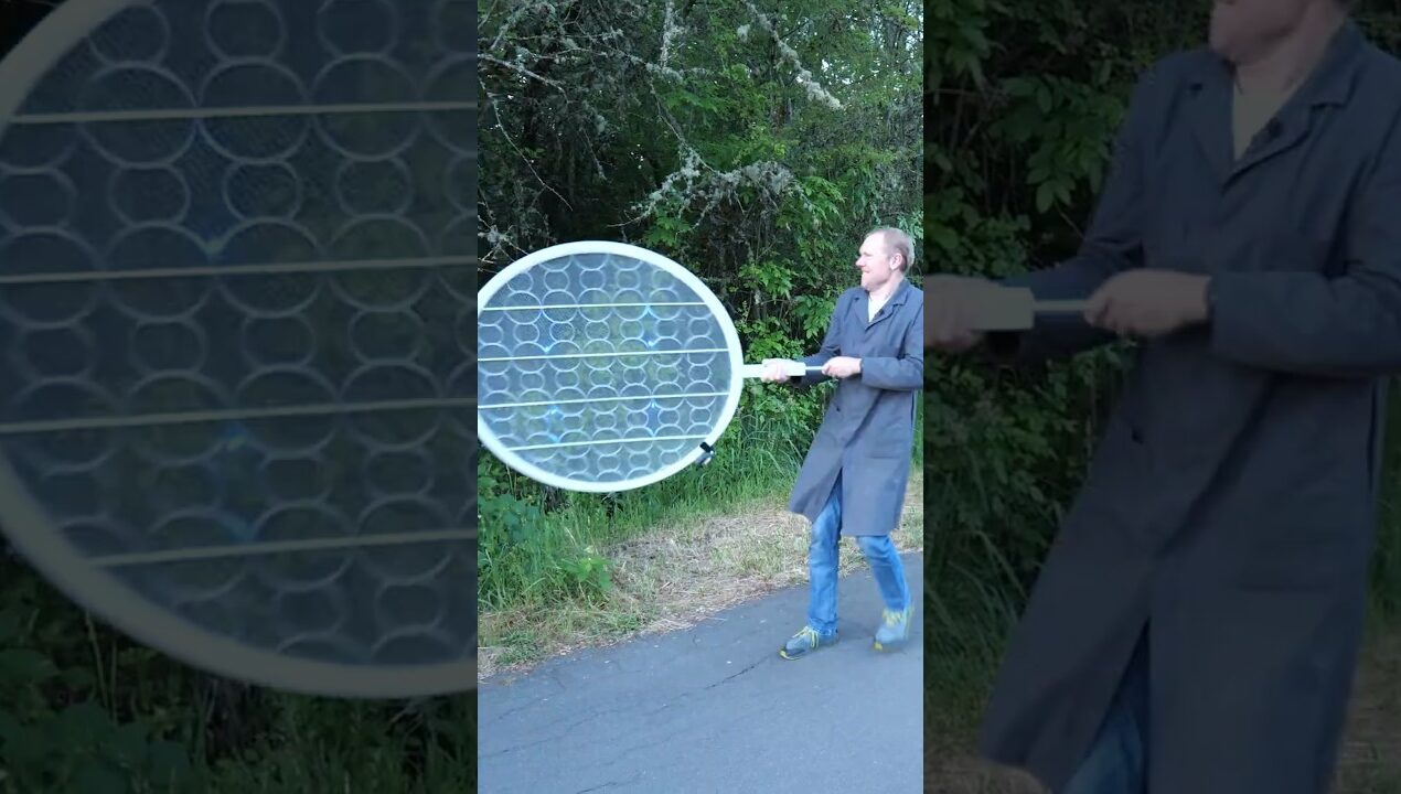 World's Largest/Smallest Bug Rackets! #experiment #diy