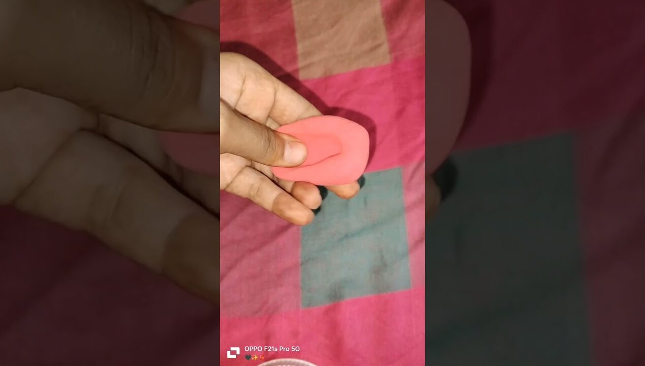 diy litchi..💖✨#diy #craft #litchi