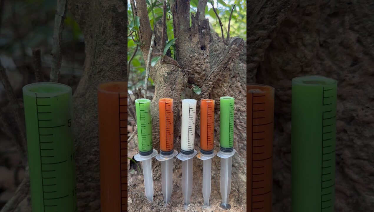 Survival Skills:The shows andUseful Save SOAP#outdoors #bushcraft #camping #skills #diy