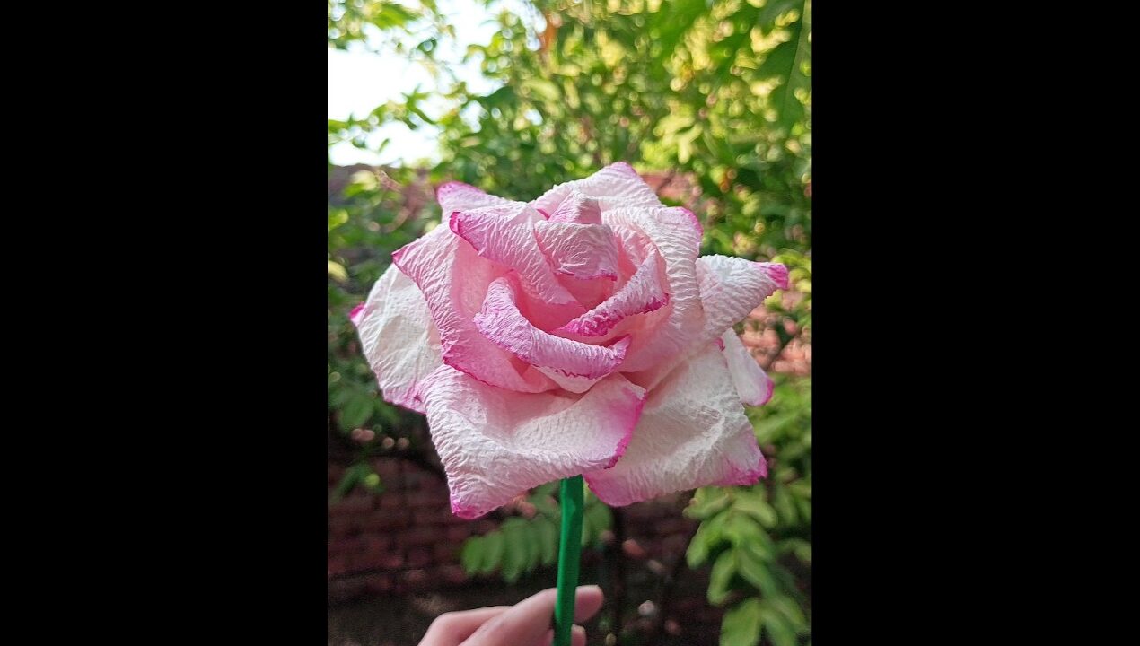 DIY How To Make Rose 🍬✨||Tutorial #diy #handmade #craft #art #shorts #fyp #pinkrose