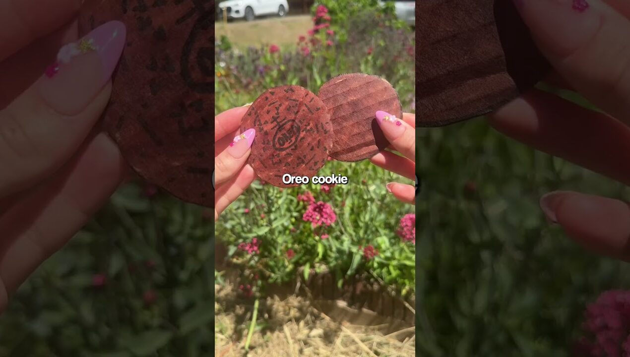 Easy DIY Oreo Squishy✨Feel Instant Relaxation Cute DIY🍪