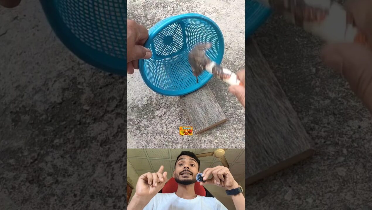 Simple DIY Hanging Plant Pot Using a Plastic Basket 🌿
