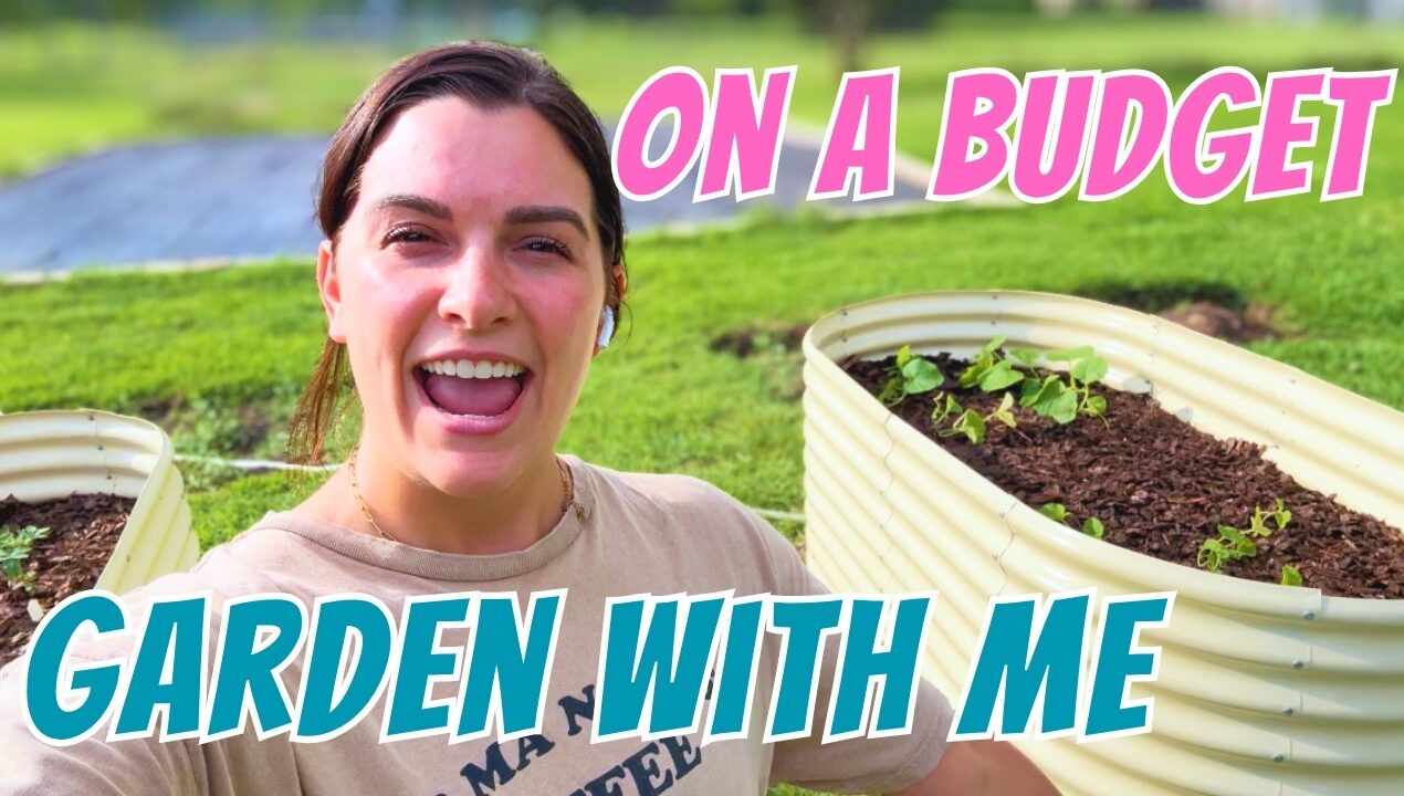 Garden With Me! Budget Friendly Garden DIY Raised Beds | Gardening on a Budget! DIY Garden Ideas