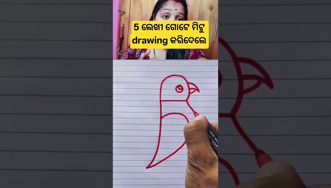 5 ଲେଖୀ ଗୋଟେ ମିଟୁ drawing କରିଦେଲେ #viral #diy #tricks