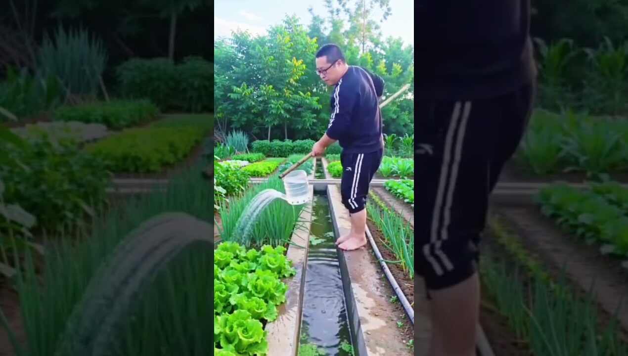 Making a simple garden watering tool.#diy #gardening #wateringtool #creativeideas #fyp #shorts