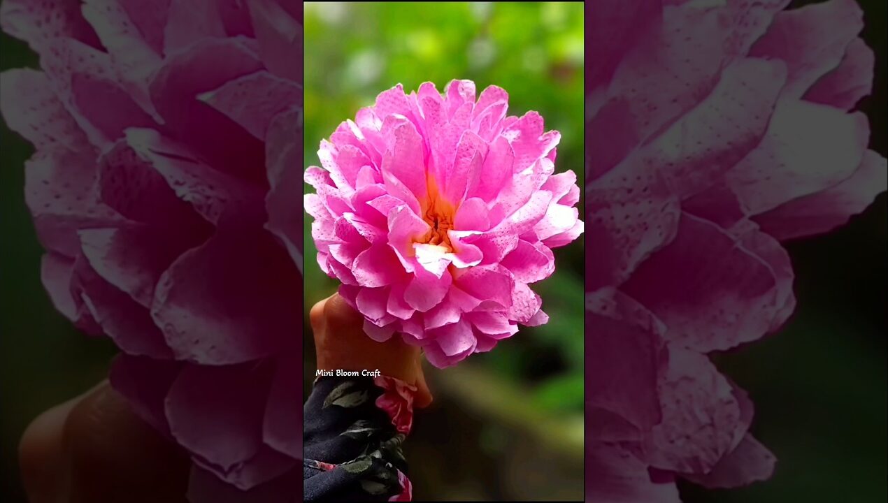 Aesthetic Tissue Paper Flower #diy #craft #shorts