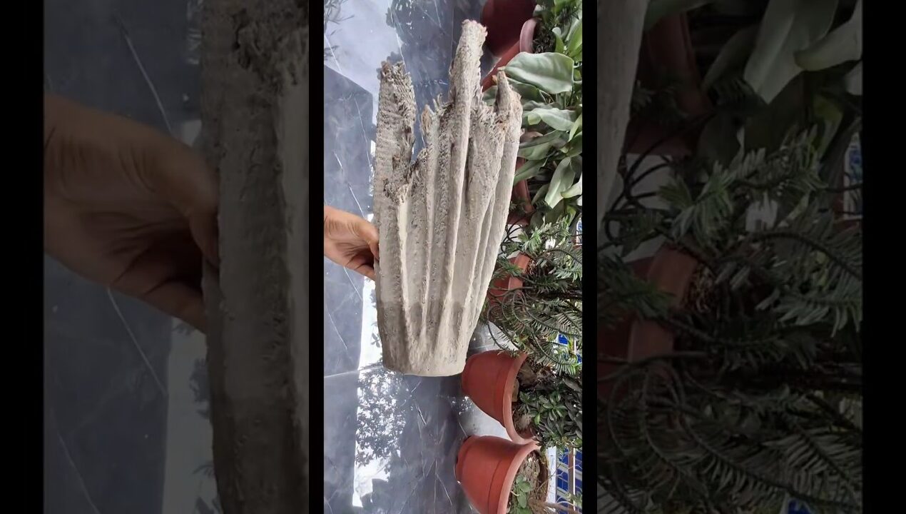 Flower Pot From Jute & Cement | Diy  Flower Pot #diy #youtubeshort #ideas #art #shorts