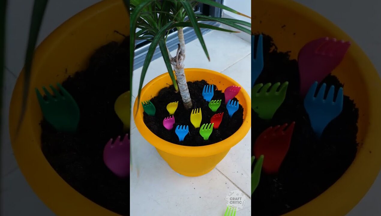 Houseplant Gardening Tricks Reviewed – Do They Work?
