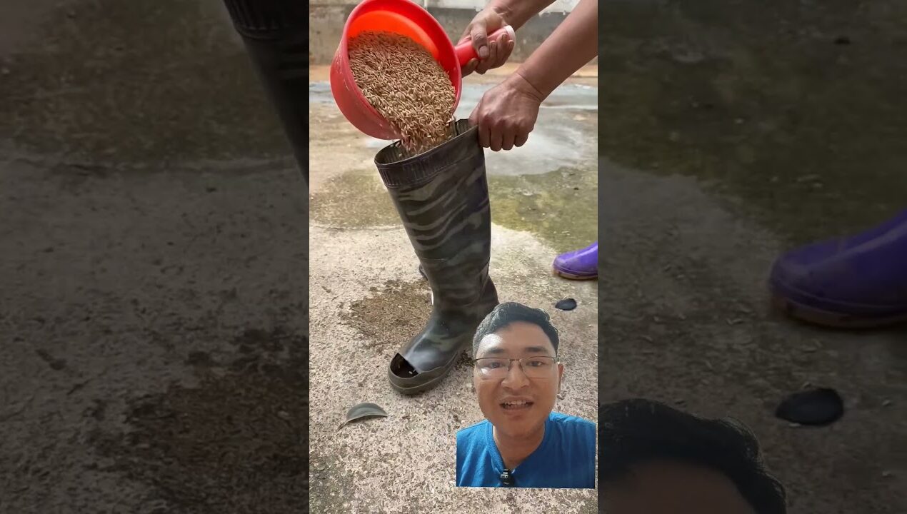 Funny Army Boot Automatic Duck Feeder Prank! #shorts #funny #diy #crafts #viral #trend #fyp #foryou