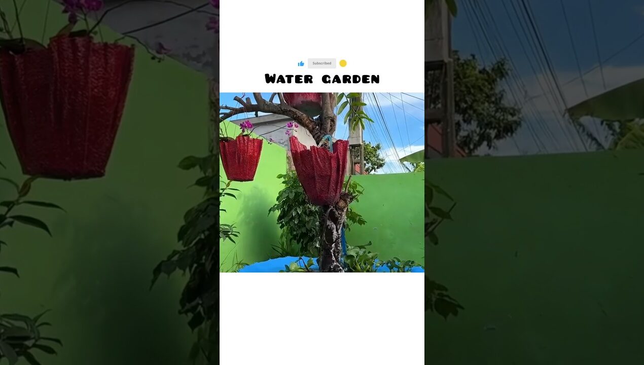 WATER GADN