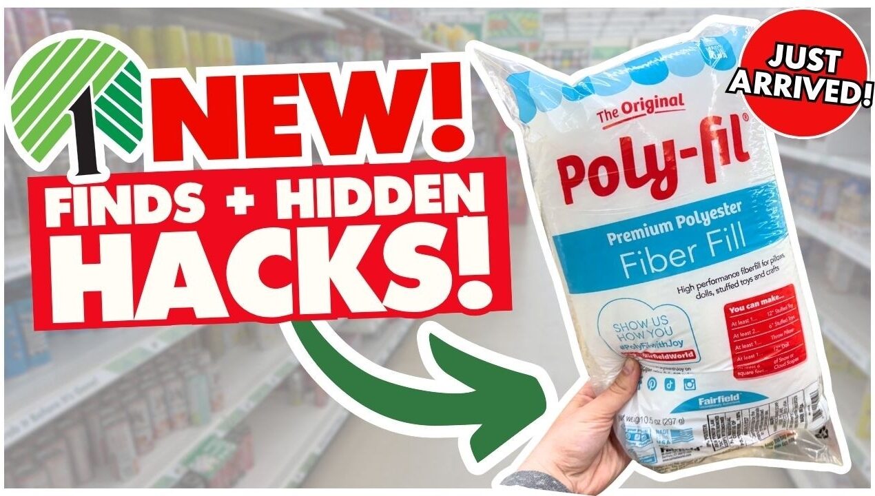 ✨ ACTUALLY GENIUS Dollar Tree HACKS + WORTHY Finds! ✨Organization, Home Decor, DIY & Crafts!