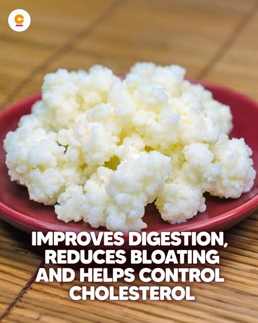 Key Benefits of Kefir: Improve Digestion, Reduce Bloating, and Control Cholesterol